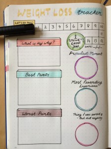 bujo-health-spread