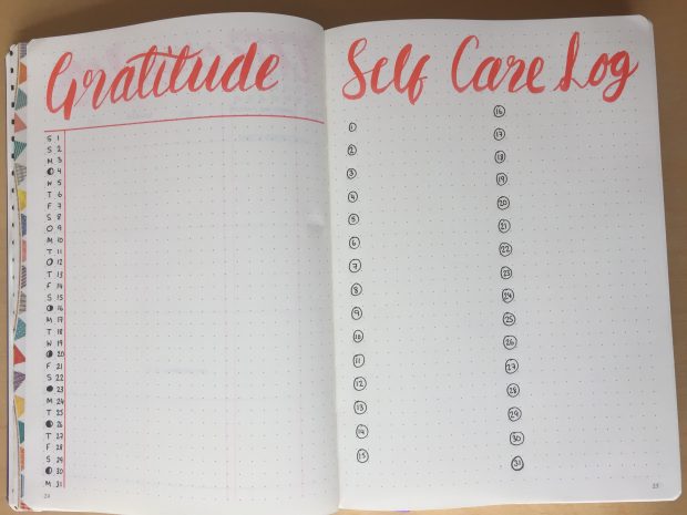 gratitude and self care log